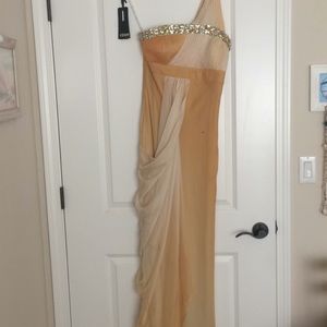 Fidan Grecian evening gown